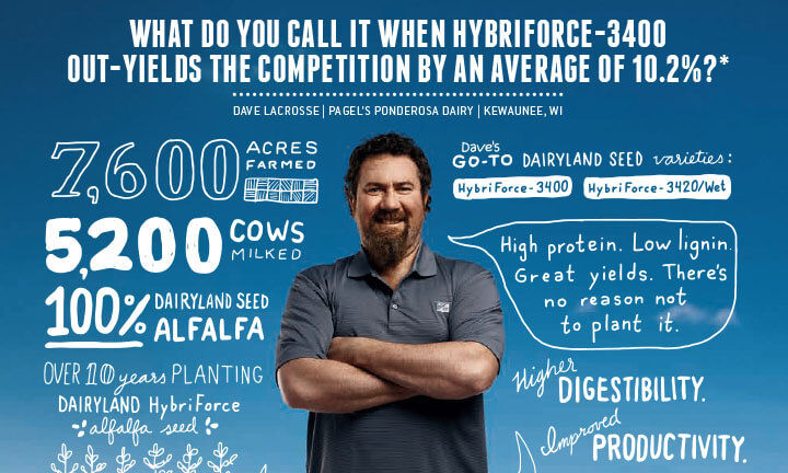ds_720x432_grid-min_dave