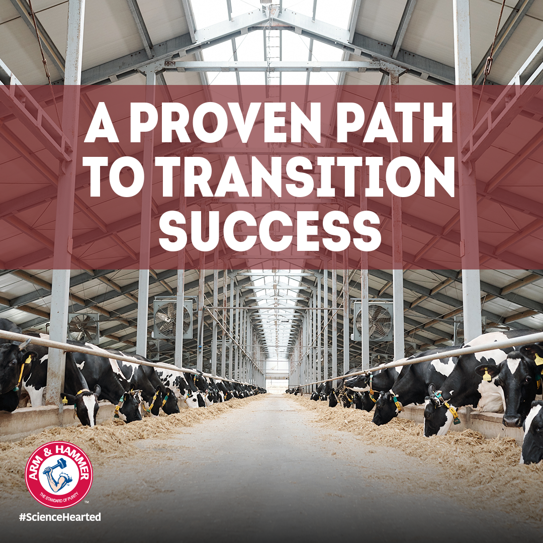 Proven Path to Transition Success