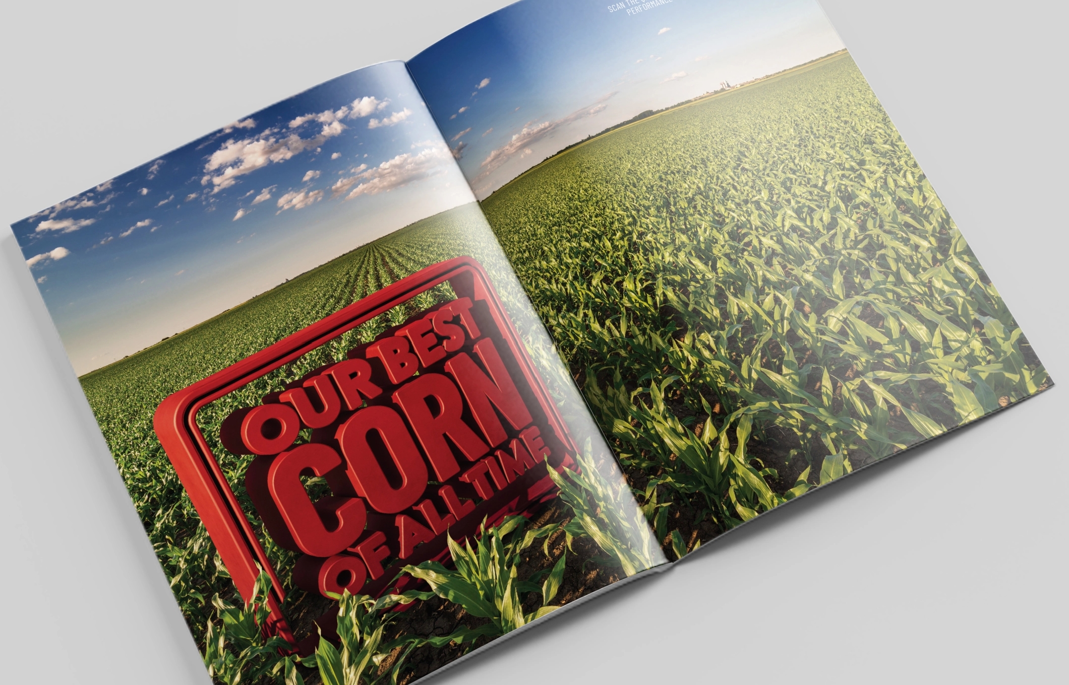 DS_PG_Corn@2x