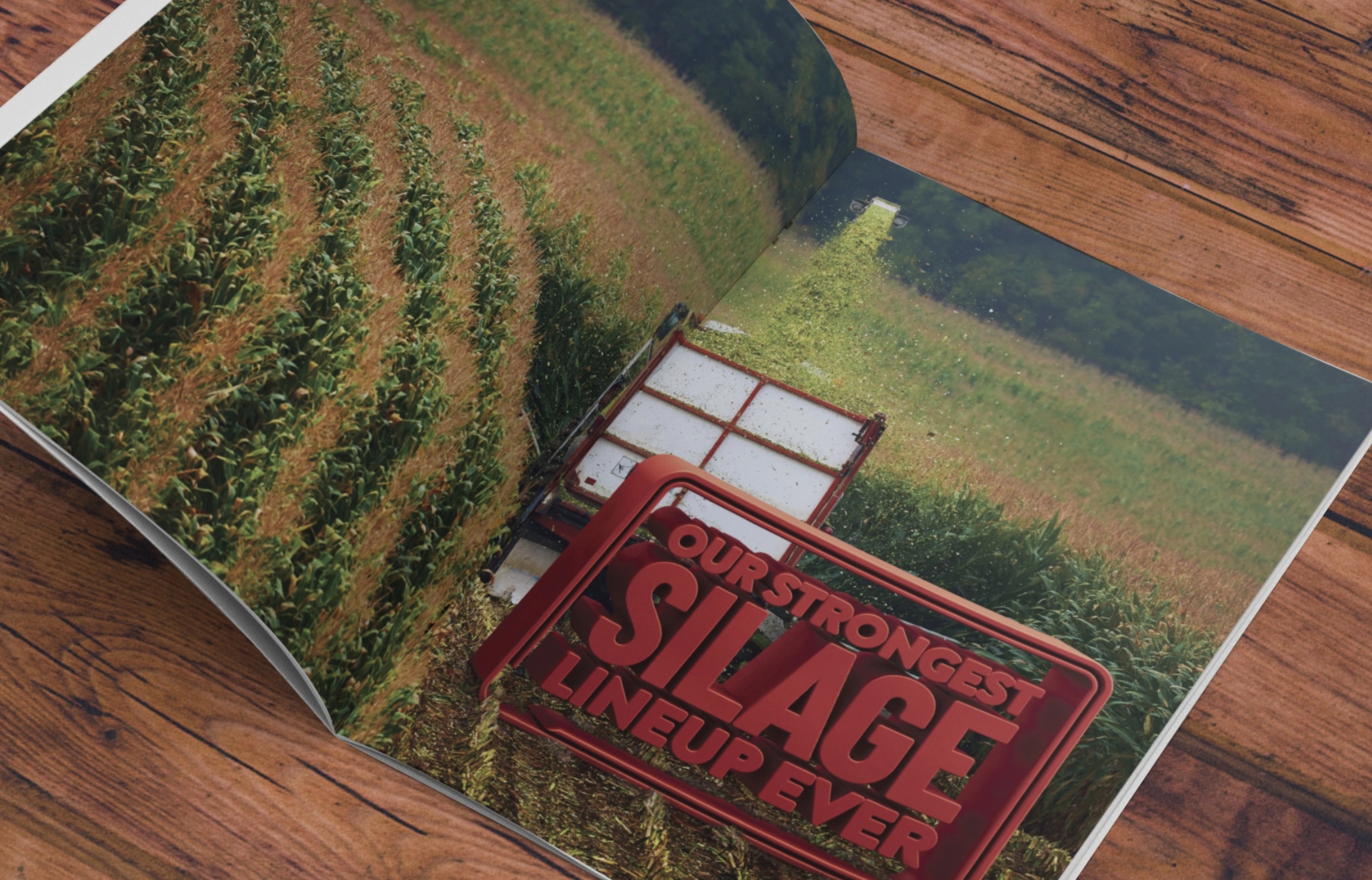 DS_PG_Silage@2x
