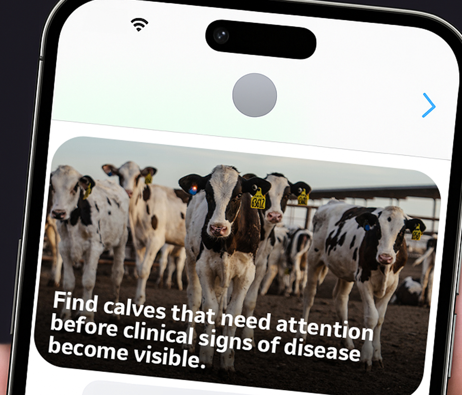 ChatGPT Image Oct 16, 2025, 10_51_59 AM copy 2 1