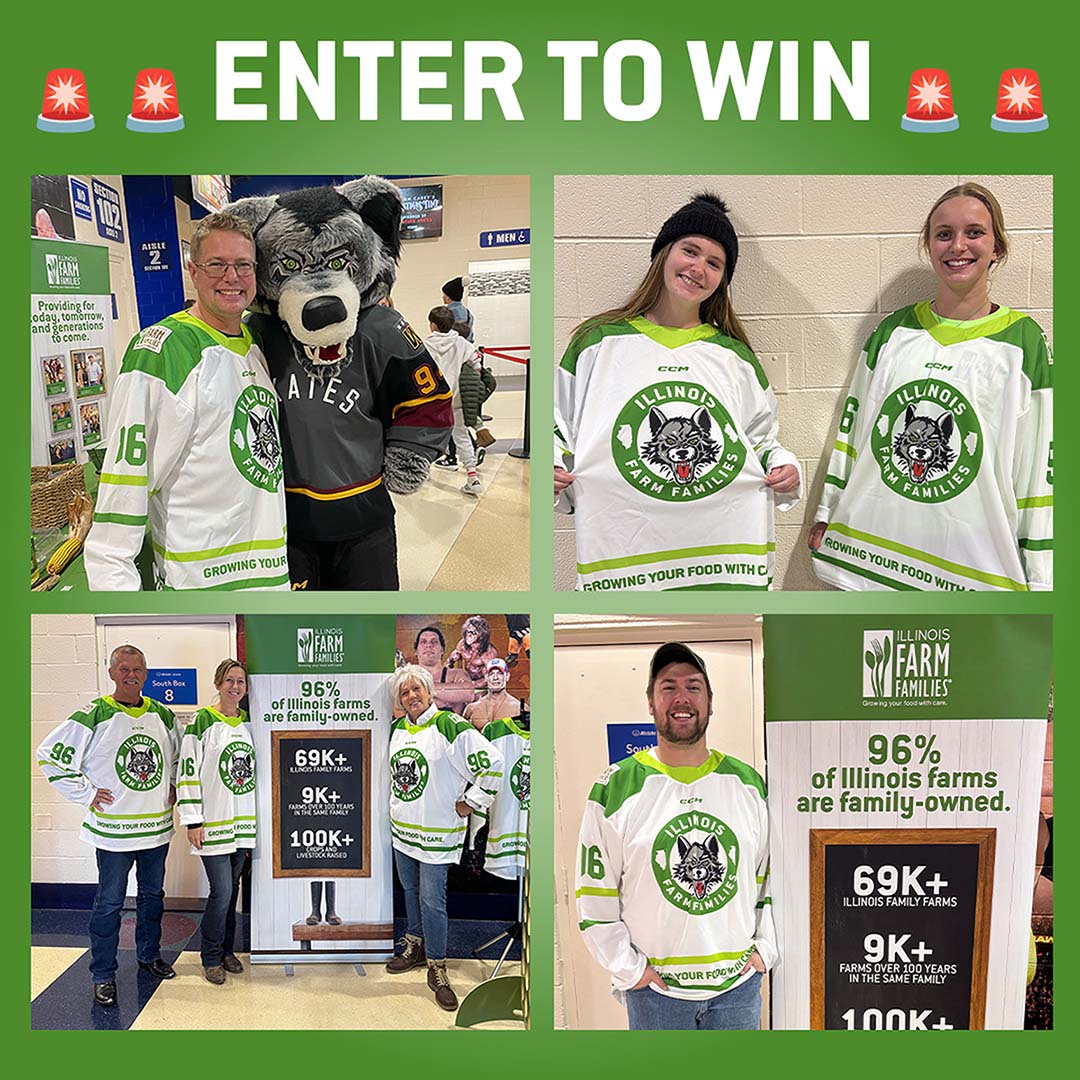 IFF_ChiWolves_Giveaway_1080x1080_2 1