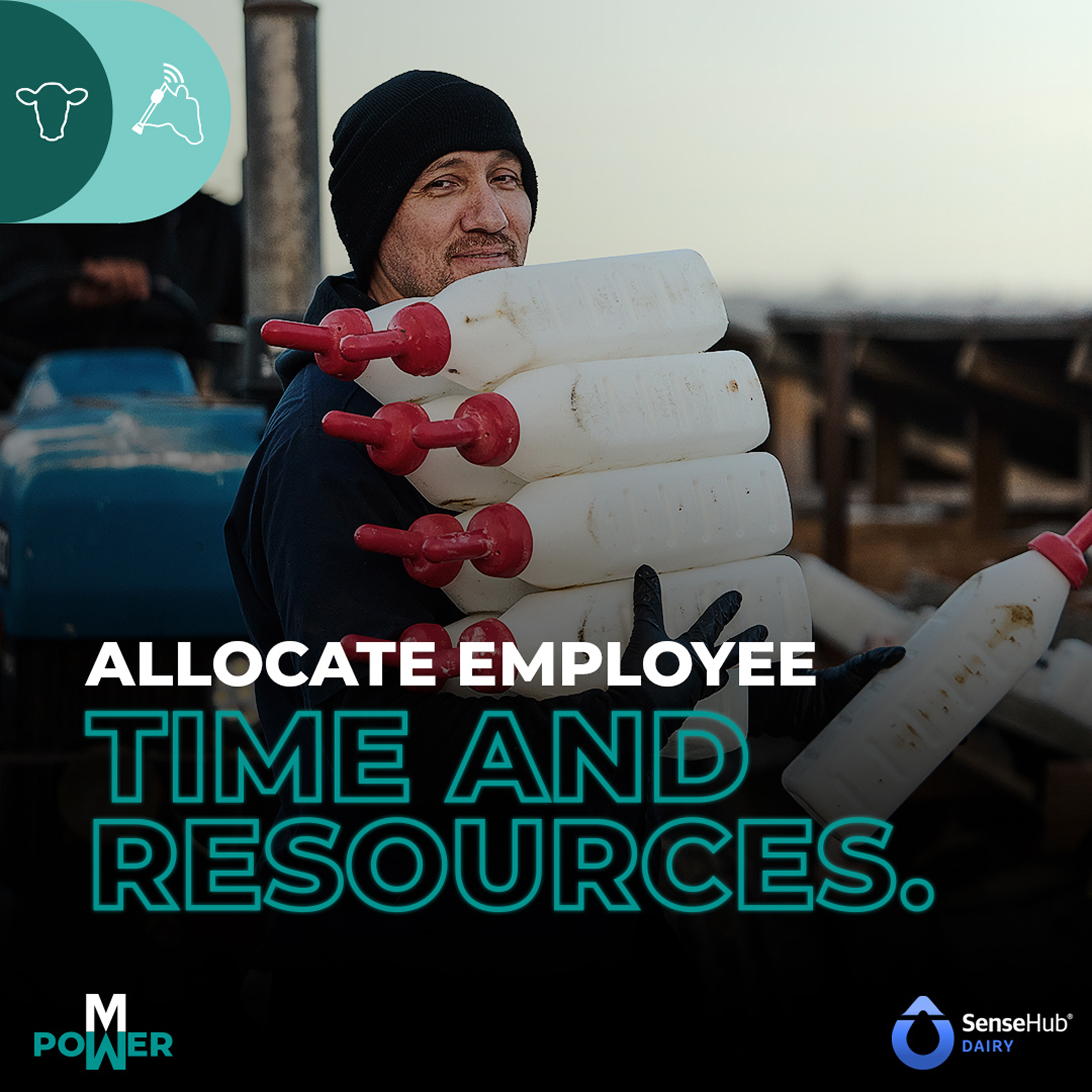 SHD_Youngstock_MAR-APR_Batch2_MetaDarkAd_1080x1080_ 1