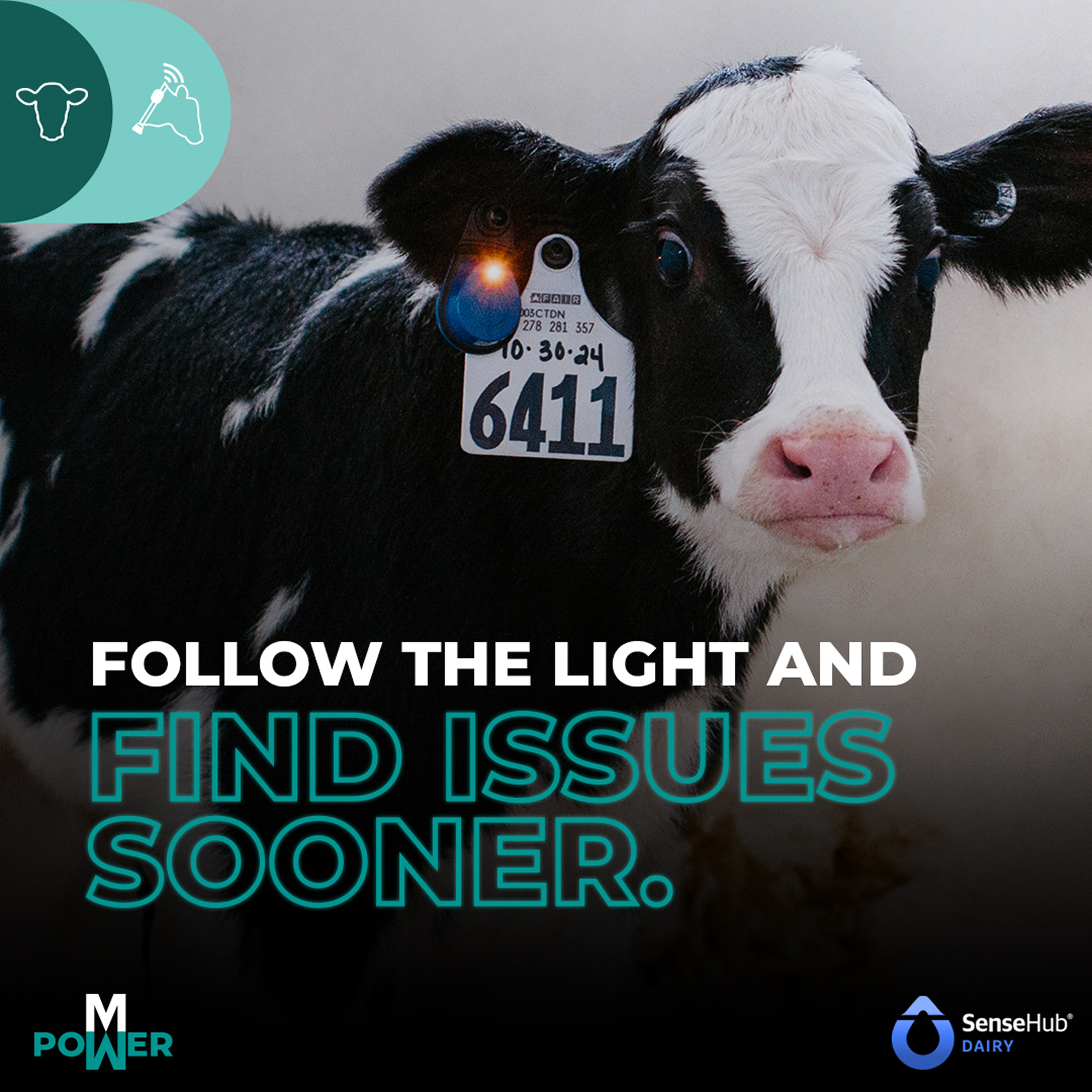 SHD_Youngstock_MAR-APR_Batch2_MetaDarkAd_1080x1080_2 1