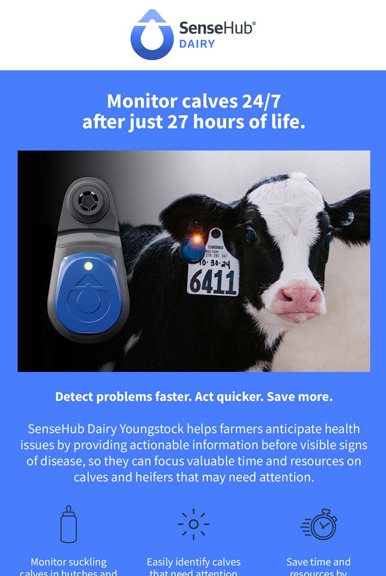 SHD_Youngstock_MAR-APR_FJ_TriggeredEblast 1