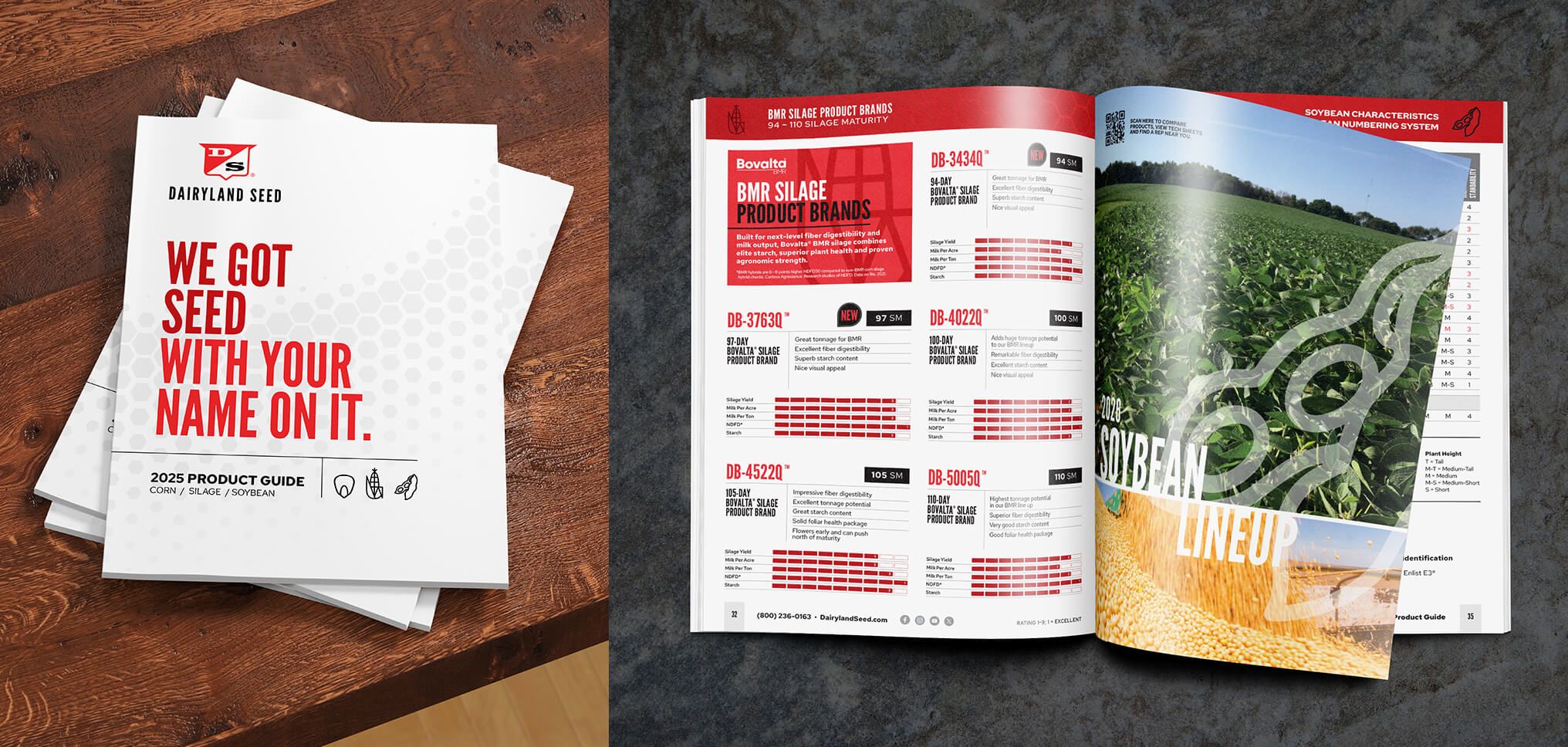 Dairyland Seed 2025 product guide cover and an interior spread