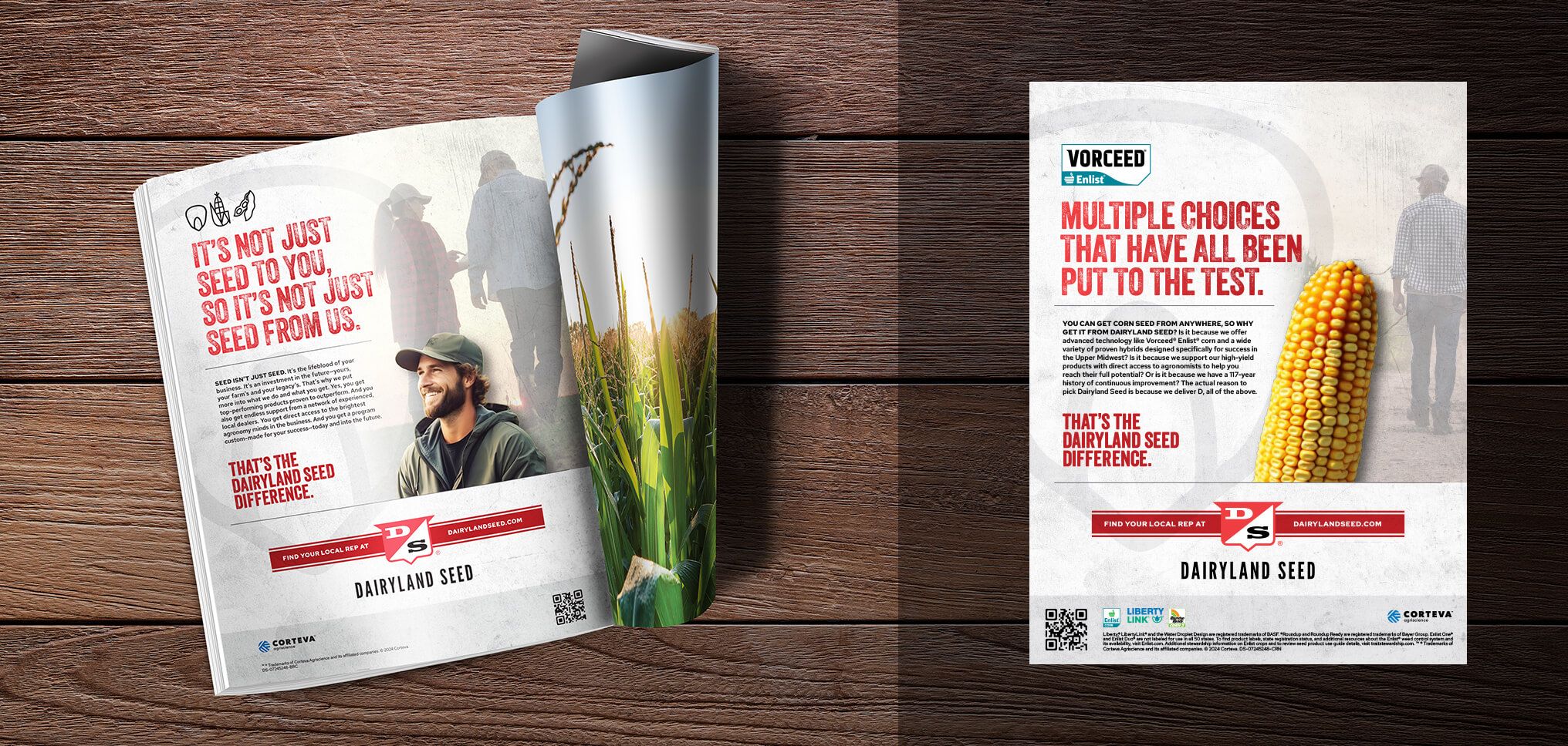 Dairyland Seed launch print ads