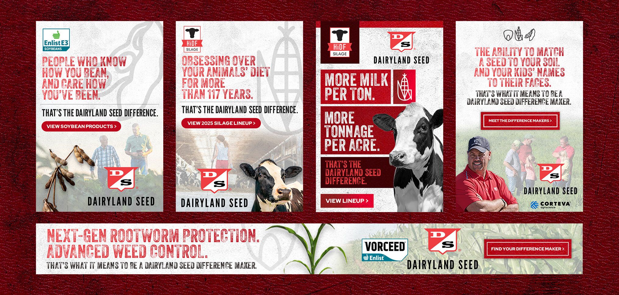 Dairyland Seed digital banner ads for brand, corn, soybeans and silage